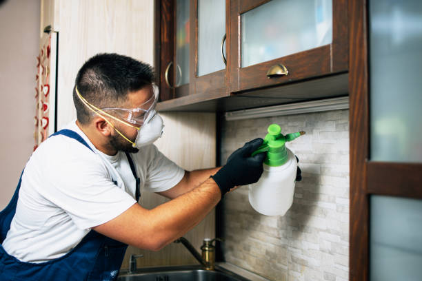 Best Rat Extermination Near Me  in Mebane, NC
