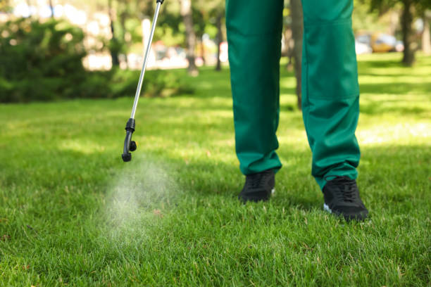 Best Termite Control Services  in Mebane, NC