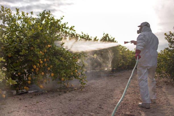 Best Commercial Pest Control Services  in Mebane, NC