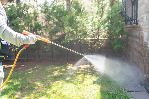 Best Bird Control  in Mebane, NC