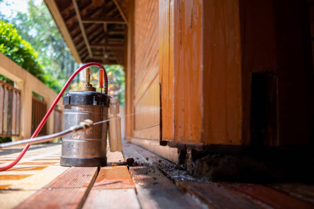 Pest Prevention Services in Mebane, NC