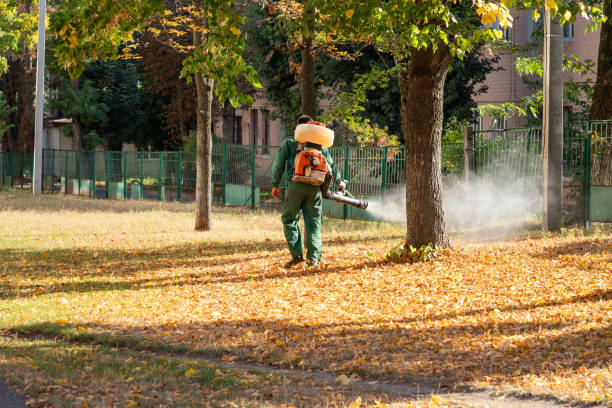 Best Best Pest Control Companies  in Mebane, NC