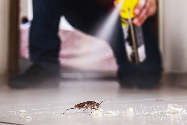 Best Exterminator Services  in Mebane, NC